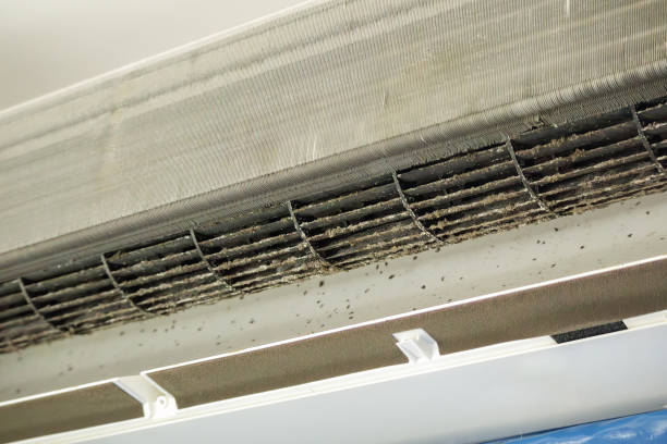 Best Best Air Duct Cleaning Company  in Gonzales, LA